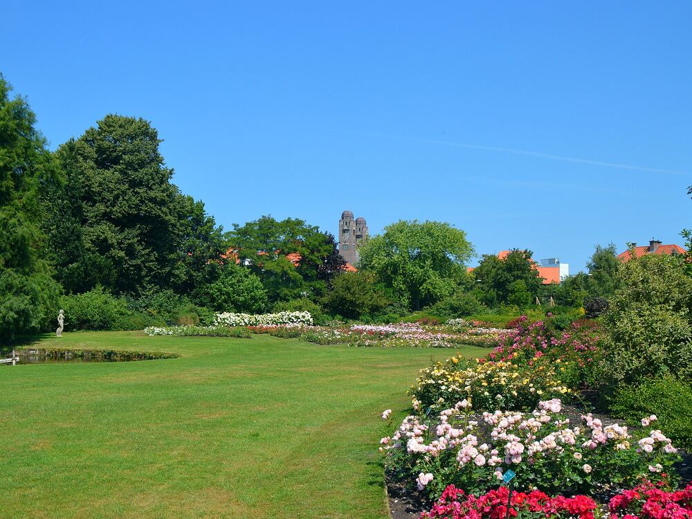 De rozenbedden in het Rosarium van het Westbroekpark in Den Haag