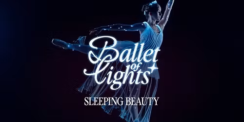 Ballet of Lights: Doornroosje – dans en lichtshow — theater in Den Haag