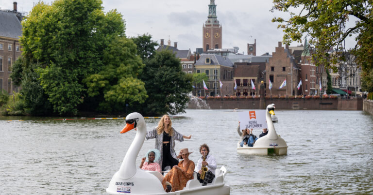 Swans at Hofvijver — Attracties in Den Haag