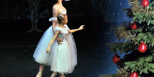 "The Nutcracker" ballet-2 in The Hague 29.11.26 at 13:30 — theater in Den Haag